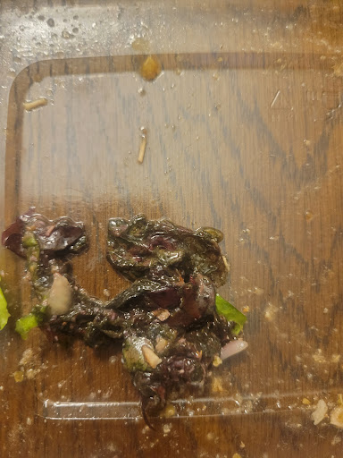 Photo of Rachel's Mediterranean Grill - 3860 McKinley Pkwy Suite 280, Blasdell, NY 14219