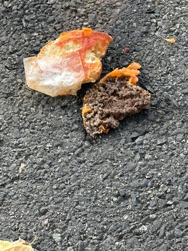 Photo of Pressed Cafe - 330 Billerica Rd, Chelmsford, MA 01824