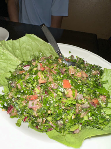 Photo of Shadi’s Restaurant and Lounge - 585 Chickering Rd, North Andover, MA 01845