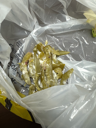 Photo of Al Madina Grill - 6 W Corry St, Cincinnati, OH 45219