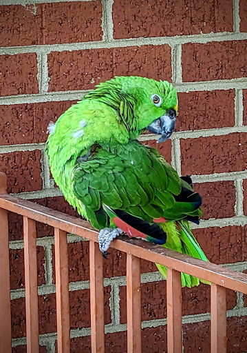 Photo of Milya Cafe - 11033 Reed Hartman Hwy, Blue Ash, OH 45242