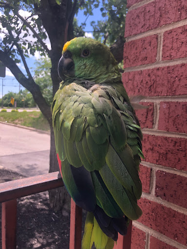 Photo of Milya Cafe - 11033 Reed Hartman Hwy, Blue Ash, OH 45242