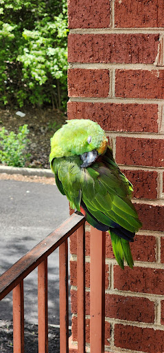 Photo of Milya Cafe - 11033 Reed Hartman Hwy, Blue Ash, OH 45242