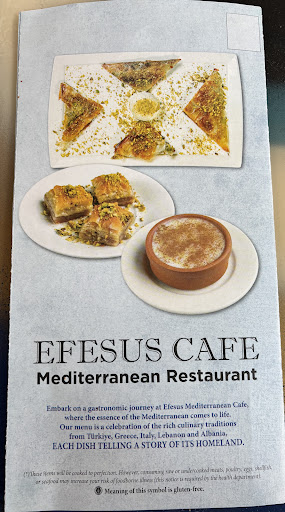Photo of Efesus Mediterranean Cafe - 20937 Ashburn Rd #125, Ashburn, VA 20147