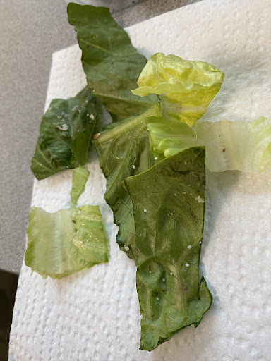 Photo of Orzo Mediterranean Grill - 11627 Olive Blvd, Creve Coeur, MO 63141