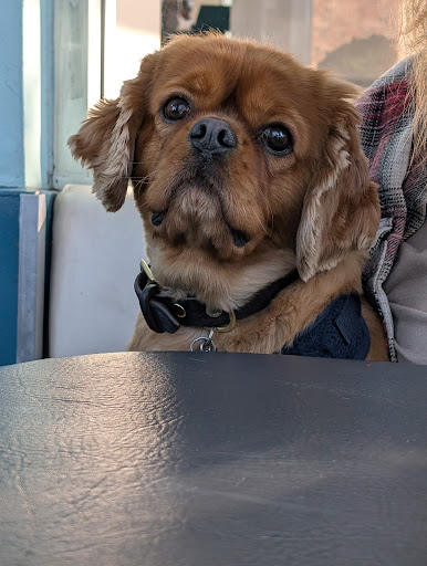 Photo of Good Stuff - 131 W Grand Ave Ste. C, El Segundo, CA 90245