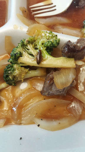 Photo of Yamato steakhouse in Lewisburg TN - 1063 Nashville Hwy, Lewisburg, TN 37091