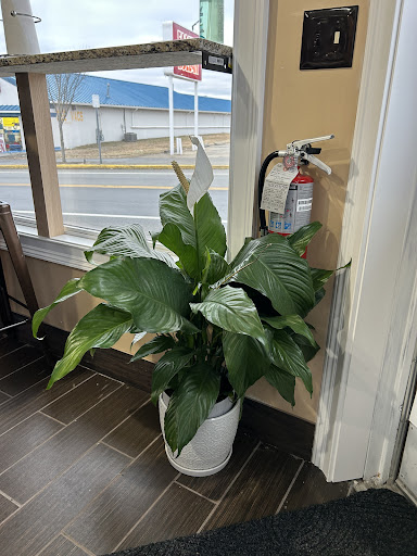 Photo of Plaza Shawarma - 146 Clay St, Pawtucket, RI 02860