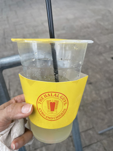 Photo of The Halal Guys - 1595 Niagara Fls Blvd, Amherst, NY 14226