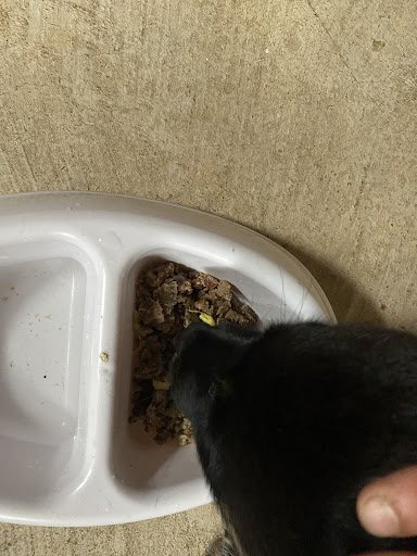 Photo of Eat Greek Express - 1693 Holt Rd, Columbus, OH 43228