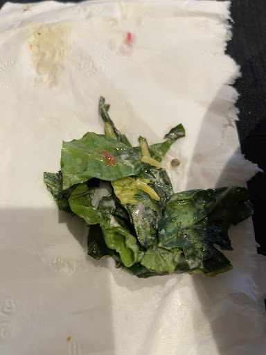 Photo of Zaytoon Mediterranean Grill - 5450 Westpointe Plaza Drive, Columbus, OH 43228