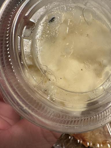 Photo of Oasis Restaurant & Catering Moroccan / Mediterranean Cuisine and Seafood - 1351 Price St, Pismo Beach, CA 93449