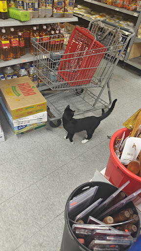 Photo of Halal Foods - 1717 Middlesex St STE 4, Lowell, MA 01851