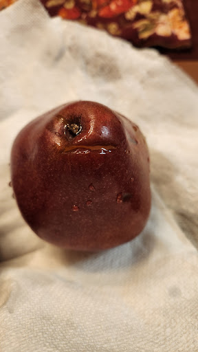 Photo of Publix Super Market at Madison Commons Shopping Center - 350 Hughes Rd, Madison, AL 35758