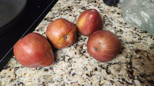 Photo of Publix Super Market at Madison Commons Shopping Center - 350 Hughes Rd, Madison, AL 35758