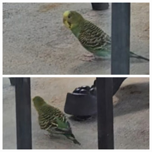 Photo of CAVA - 14901 Potomac Town Pl, Woodbridge, VA 22191