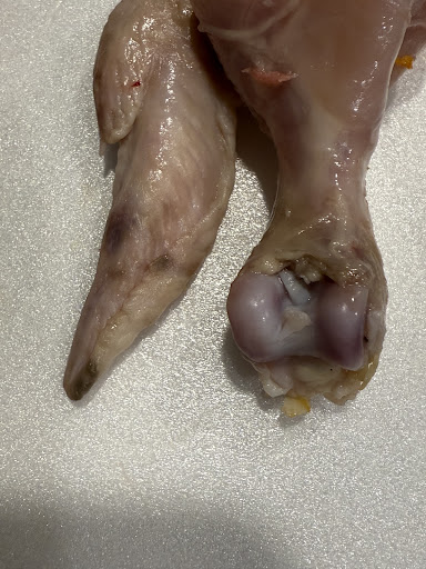 Photo of MidEast Market - 14375 Manchester Rd, Manchester, MO 63011