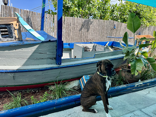 Photo of Paradise Cuban Restaurant - 2603 Overseas Hwy, Marathon, FL 33050