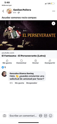 Photo of GREEN CAFE ( HALAL ) - 153 Monroe St, Martinsburg, WV 25404