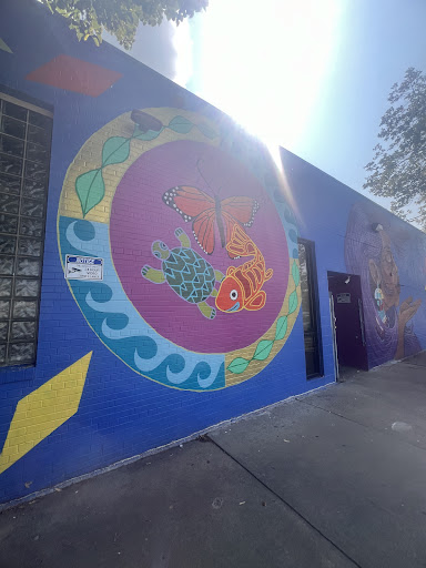 Photo of Mama Safia's Kitchen - 720 E Lake St, Minneapolis, MN 55407