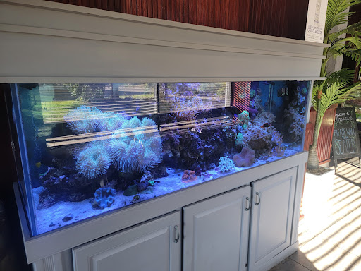 Photo of Ansari's Mediterranean Grill & Craft Beer Lounge - 1960 Rahncliff Ct, Eagan, MN 55122