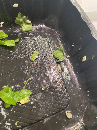 Photo of Nupa North - 1035 Civic Center Dr NW, Rochester, MN 55901