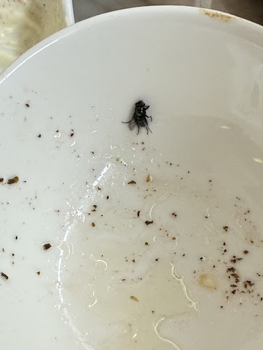 Photo of Sam's Mediterranean grill - 332 N Erie St, Toledo, OH 43604