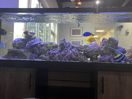 Photo of Grape Leaf Express - Perrysburg - 27112 Oakmead Dr, Perrysburg, OH 43551