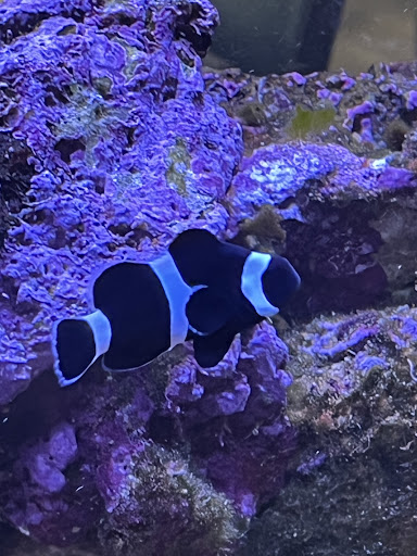 Photo of Grape Leaf Express - Perrysburg - 27112 Oakmead Dr, Perrysburg, OH 43551