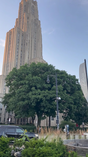 Photo of (شاورما عمر) Omar's Halal Grill - 4208 Forbes Ave, Pittsburgh, PA 15213