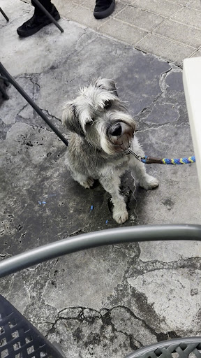 Photo of Sawa Restaurant & Lounge - 360 San Lorenzo Ave #1500, Coral Gables, FL 33146