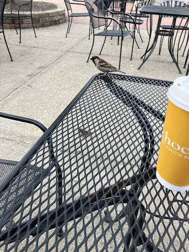 Photo of South Bend Chocolate Café - 307 Lighthouse Pl, Michigan City, IN 46360