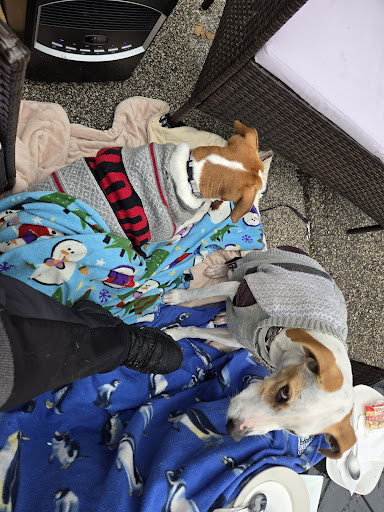 Photo of WhichCraft Taproom - 124 Ashman St, Midland, MI 48640