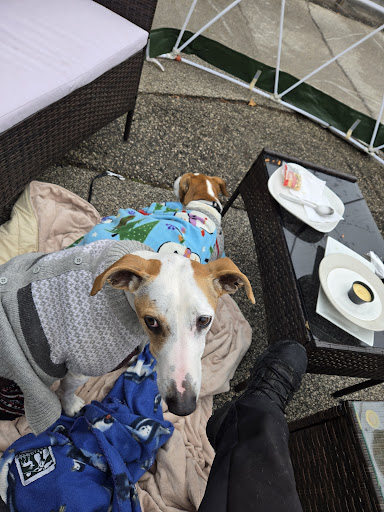 Photo of WhichCraft Taproom - 124 Ashman St, Midland, MI 48640