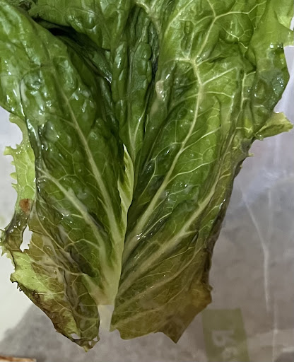 Photo of Arby's - 1500 S Burr St, Mitchell, SD 57301