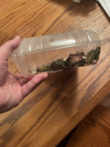 Photo of Olga's Kitchen - 2072 N Telegraph Rd, Monroe, MI 48162