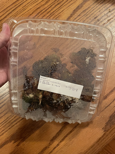 Photo of Olga's Kitchen - 2072 N Telegraph Rd, Monroe, MI 48162