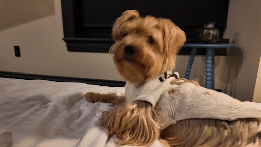 Photo of Puff House - 225 Ross St Unit 205, Pittsburgh, PA 15219