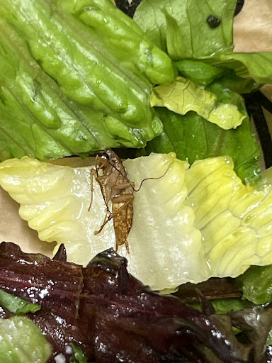 Photo of Showmars Mooresville - 138 Williamson Rd, Mooresville, NC 28117