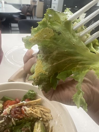 Photo of mezeh - 262 Crown Park Ave, Gaithersburg, MD 20878