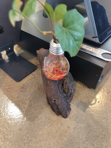 Photo of Falafel Taco - 30 Wheeler Ave, Pleasantville, NY 10570