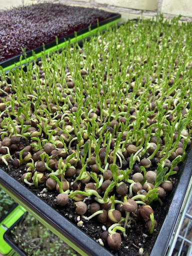 Photo of Roz’s Diner - 3995 E Rosebush Rd, Rosebush, MI 48878