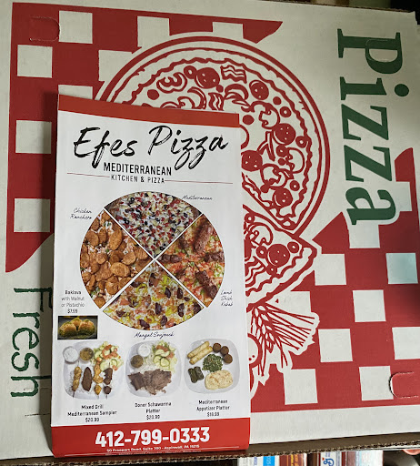 Photo of Efes Mediterranean Pizza - 50 Freeport Rd #300, Aspinwall, PA 15215