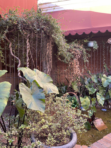 Photo of Hana Japanese Sushi Bar & Grill - 750 Front St, Natchitoches, LA 71457