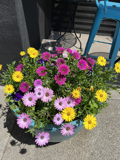 Photo of Walrus and Captain - 33 County Rd, Mattapoisett, MA 02739
