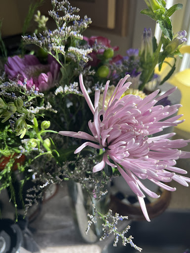 Photo of Mediterranea Cafe - 140 Orange St, New Haven, CT 06510