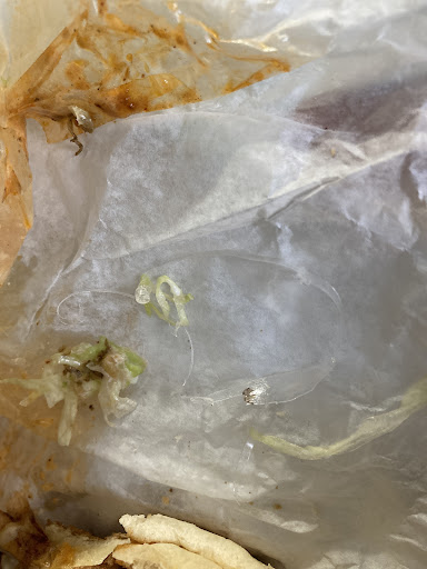 Photo of H & T Mini Mart/Deli - 1 Ocean Ave, New London, CT 06320