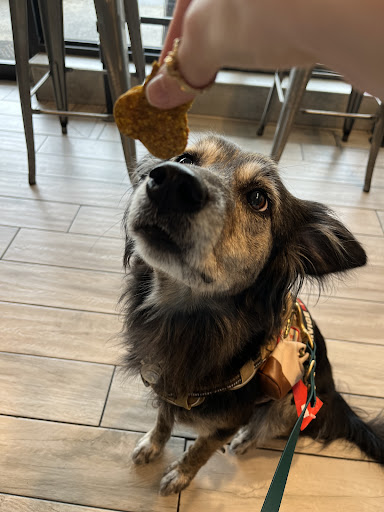 Photo of Sprout and Lentil - 796 Aquidneck Ave Unit 3, Middletown, RI 02842