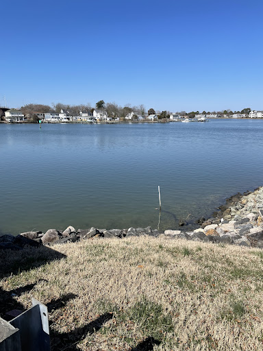 Photo of Halal Food Mart & International market - 13664 Warwick Blvd D, Newport News, VA 23602