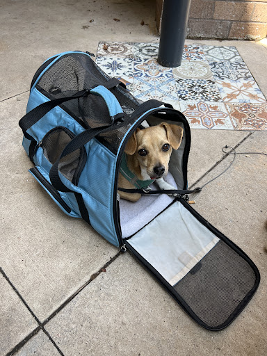 Photo of Mezeh - 701 Lynnhaven Pkwy #1126, Virginia Beach, VA 23452